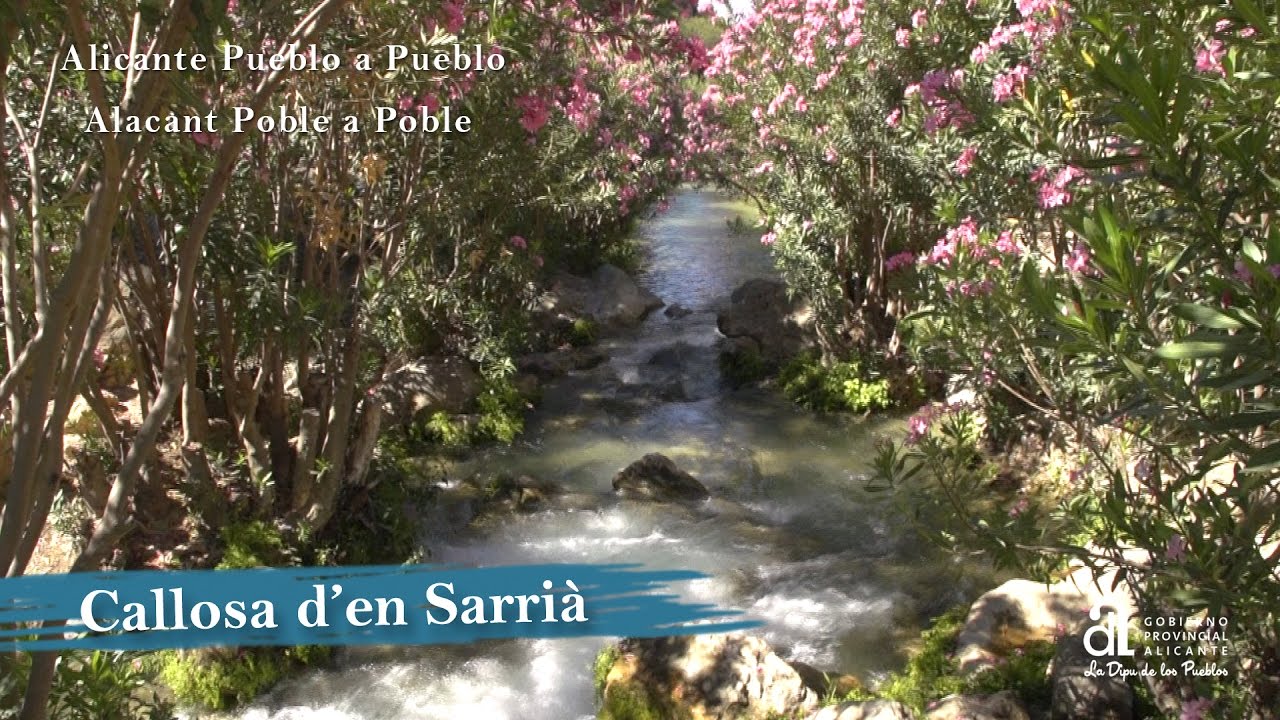 Conoce-Callosa-d-En-Sarria - León Digital