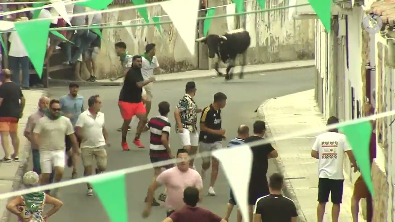 La-Tradicion-de-los-Encierros-en-la-Tierra-de-Campos - León Digital