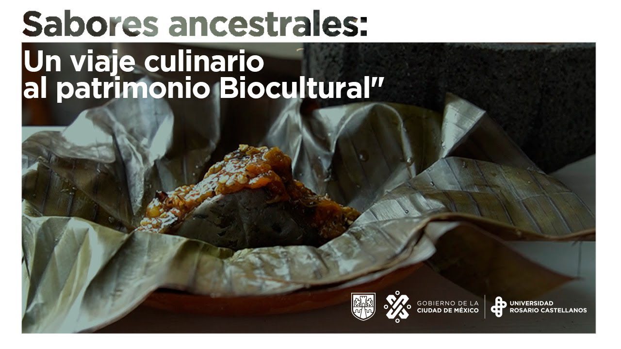 Sabores-Ancestrales-Un-Viaje-Culinar-por-la-Tierra-de-Campos - León Digital