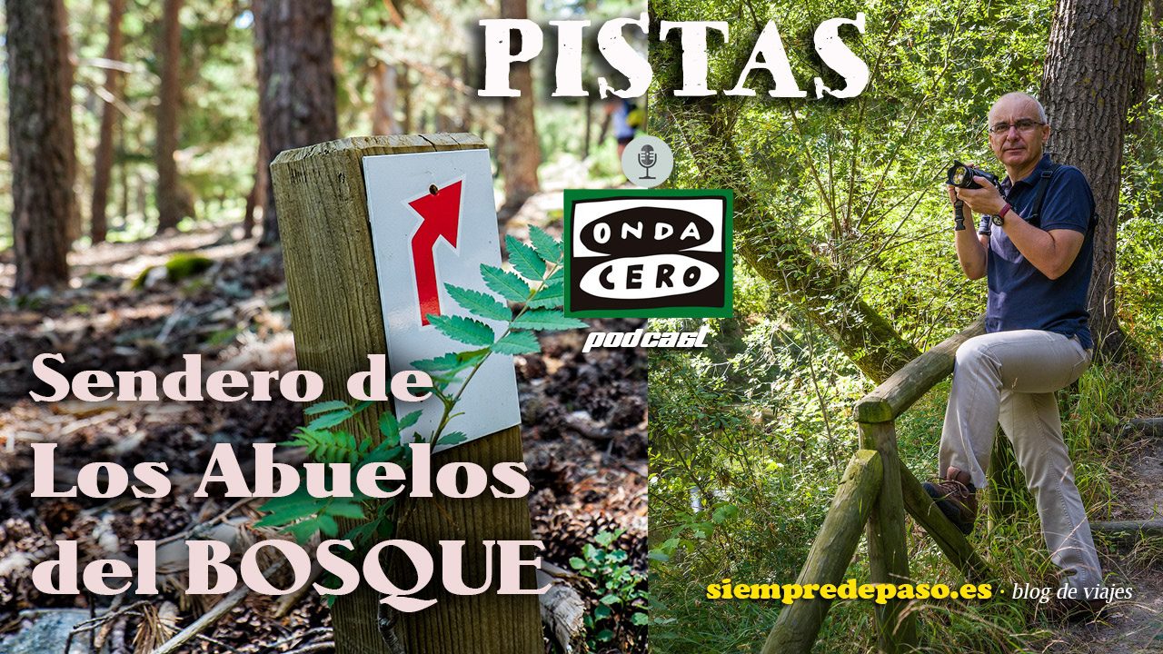 Aromas-y-Sabores-del-Bosque-de-Urbion-en-Soria - León Digital