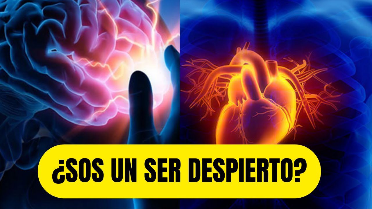Conecta-con-tu-intuicion-Desarrolla-tu-sabiduria-interna - León Digital