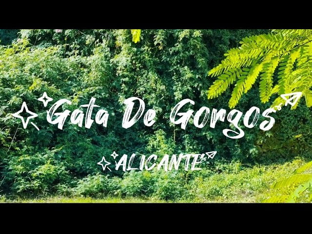 Conoce-Gata-de-Gorgos - León Digital