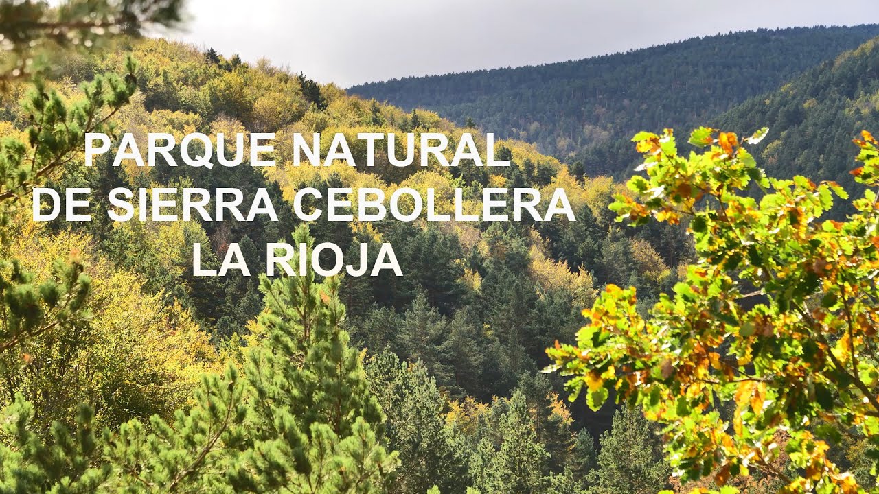Rutas-de-Aventura-en-la-Sierra-de-Cebollera-en-La-Rioja - León Digital