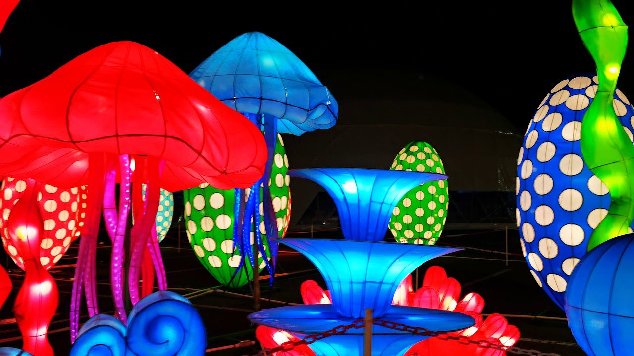 Arte-y-Luz-Festival-de-Instalaciones-Luminicas-en-Avila - León Digital