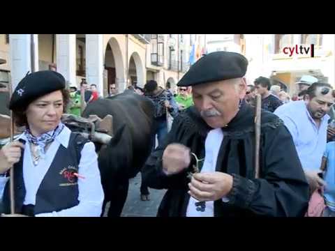 Fiestas-de-la-Vendimia-en-la-Ruta-del-Vino-de-Cigales-1 - León Digital