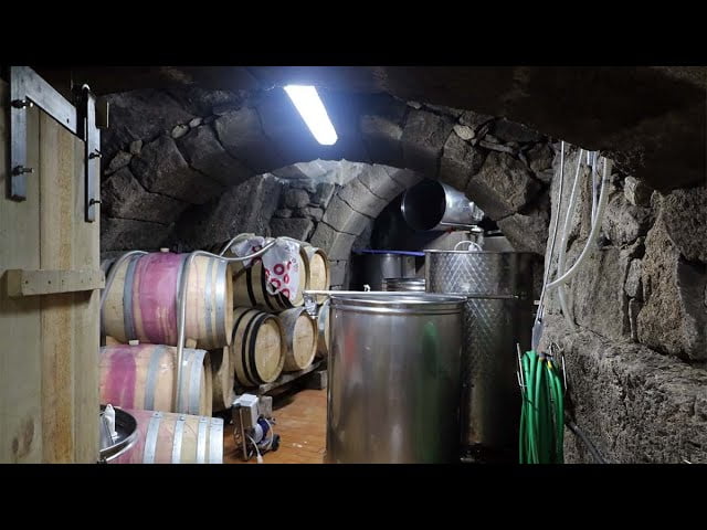 La-Ruta-del-Vino-de-Arribes-en-Zamora-De-Bodegas-y-Catas - León Digital