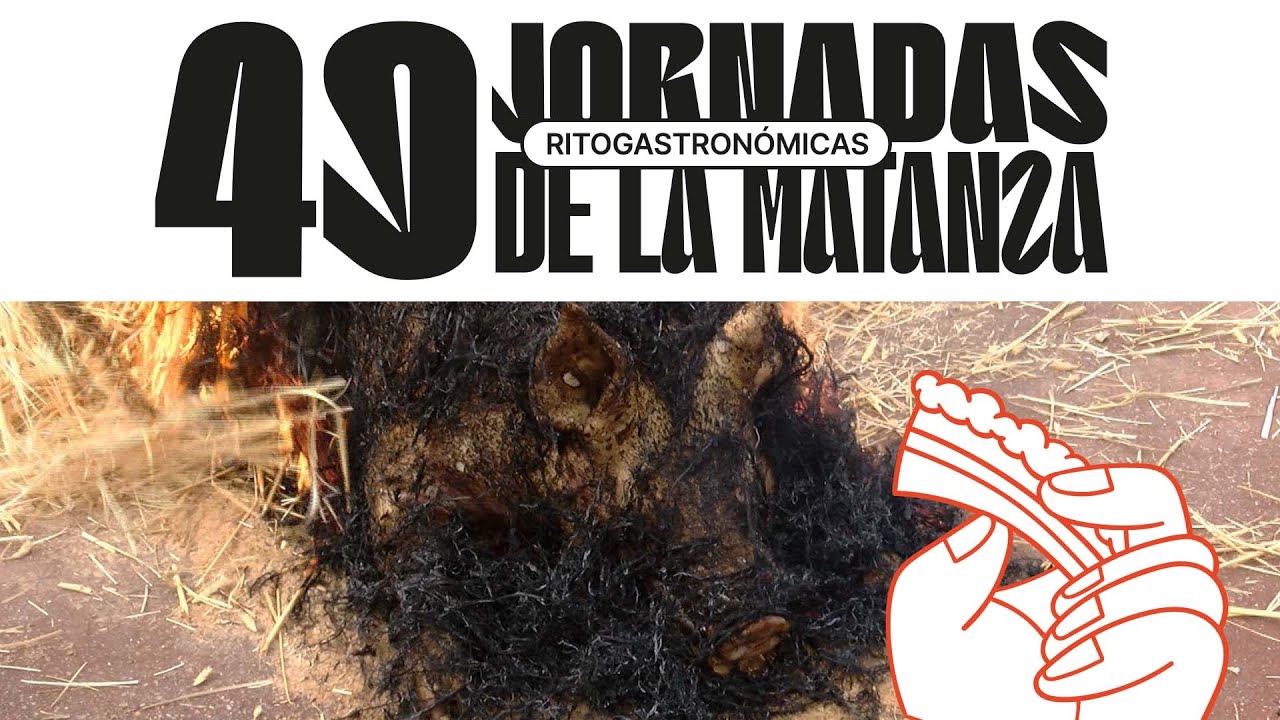 Tradicion-y-Gastronomia-en-la-Feria-de-la-Matanza-en-Soria - León Digital