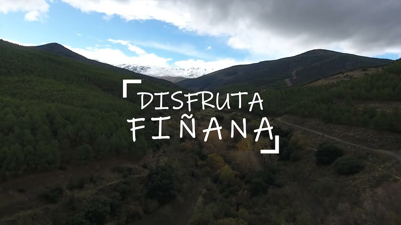 Conoce-Finana - León Digital