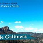 Guía completa para conseguir un empleo público en Vall de Gallinera: Requisitos, vacantes y consejos