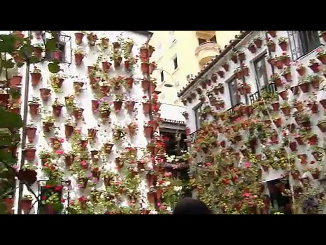 El-Festival-de-los-Patios-de-Badajoz-Flores-y-Arquitectura - León Digital El Festival de los Patios de Badajoz: Flores y Arquitectura
