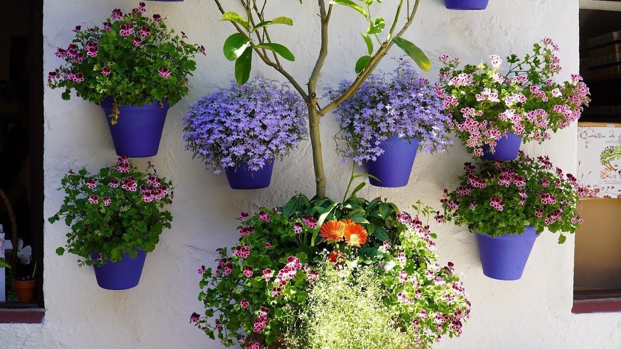 La Fiesta de los Patios en Córdoba: Flores y Belleza