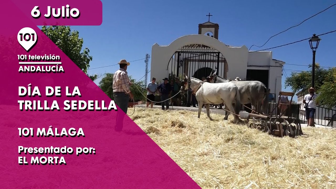 La-Fiesta-de-la-Trilla-en-Albacete-Tradicion-Agricola - León Digital La Fiesta de la Trilla en Albacete: Tradición Agrícola