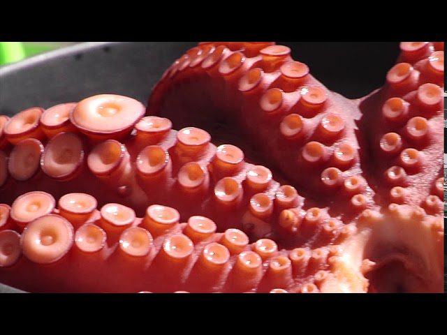 La-Fiesta-del-Pulpo-en-O-Carballino-Gastronomia-y-Cultura - León Digital La Fiesta del Pulpo en O Carballiño: Gastronomía y Cultura