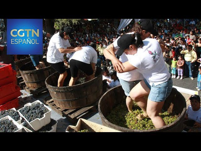 La Fiesta de la Vendimia en Palmela: Vino y Tradición