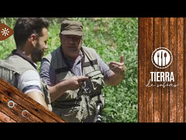 El Festival de la Trucha en Manteigas: Naturaleza y Sabor