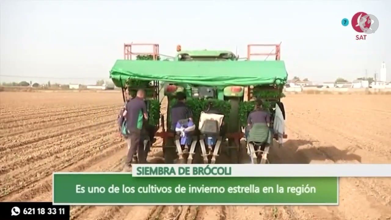 Conoce Pueblonuevo del Guadiana
