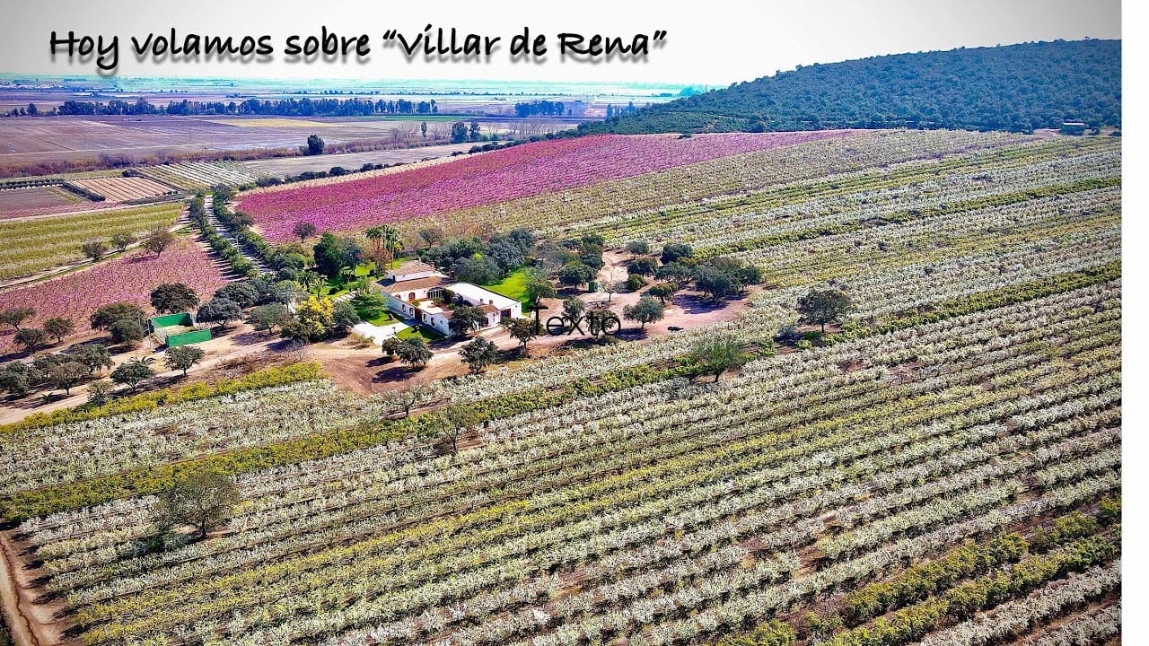 Conoce-Villar-de-Rena - León Digital Conoce Villar de Rena