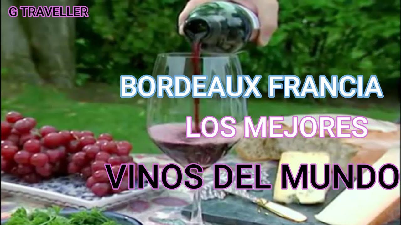 La-Feria-de-los-Vinos-en-Bordeaux-Tradicion-y-Degustacion - León Digital La Feria de los Vinos en Bordeaux: Tradición y Degustación