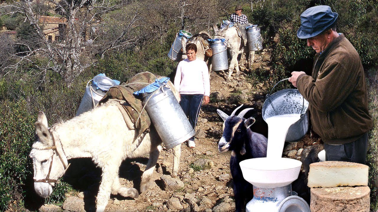 Vida-rural-en-los-pequenos-pueblos-de-la-Sierra-de-Gredos - León Digital Vida rural en los pequeños pueblos de la Sierra de Gredos