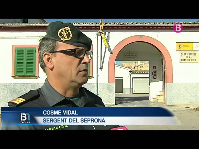 Conoce Campanet