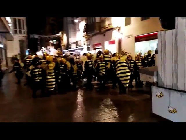 Los-carnavales-rurales-mas-antiguos-de-Zamora - León Digital Los carnavales rurales más antiguos de Zamora