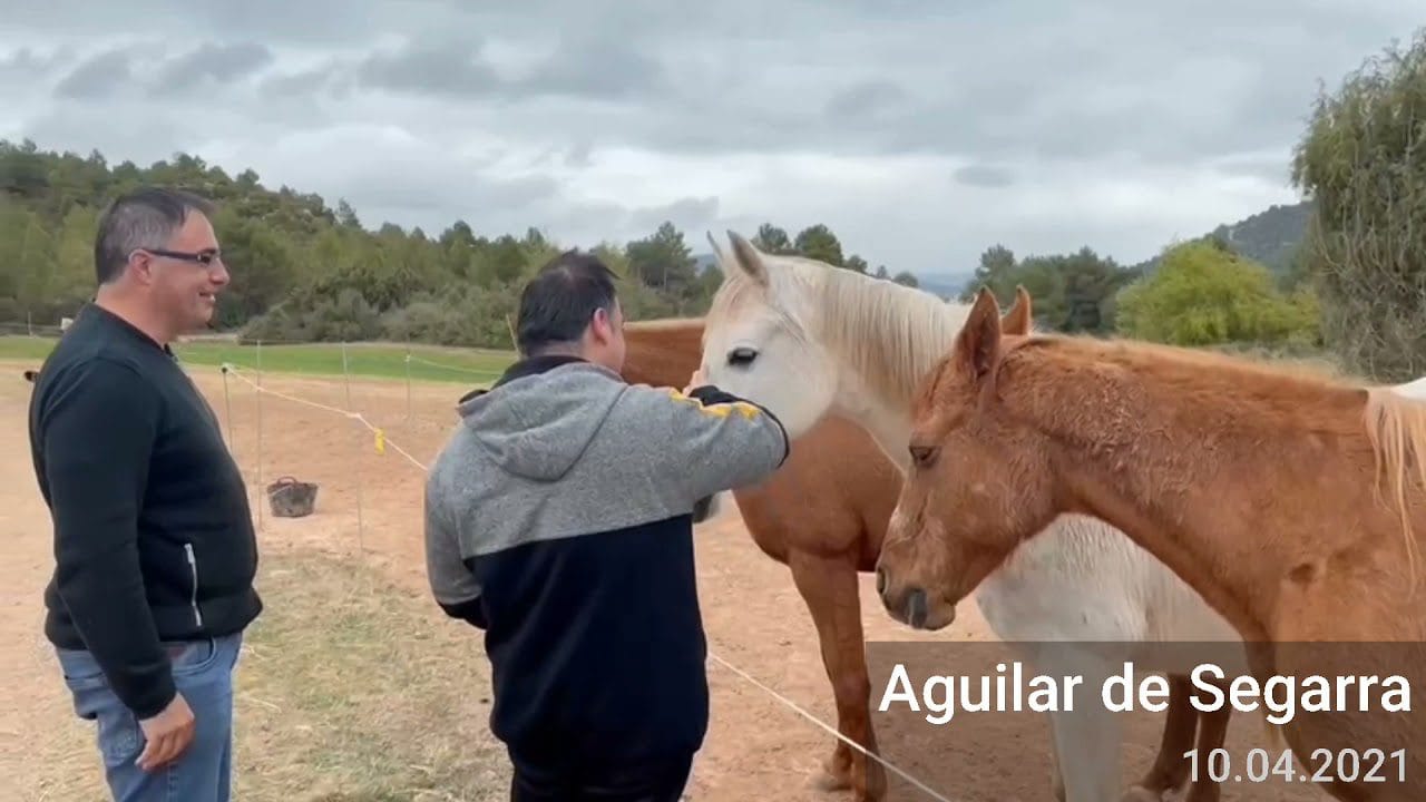 Conoce-Aguilar-de-Segarra - León Digital Conoce Aguilar de Segarra