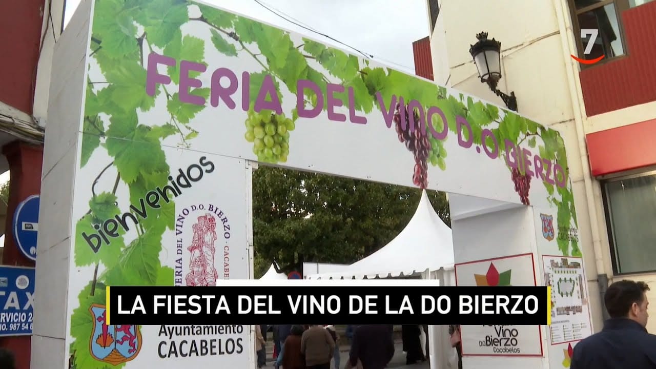 Las Fiestas en Torno al Vino en los Pueblos de la DO Bierzo: Tradición ...