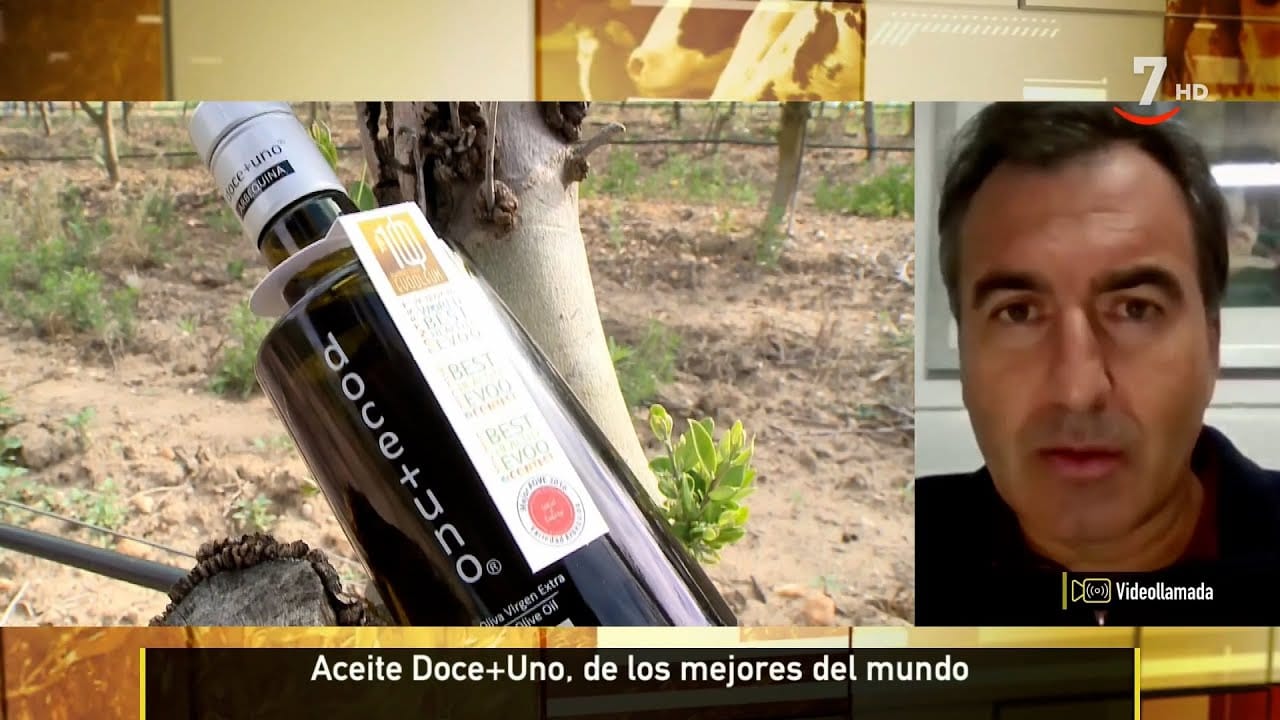 Las-tradiciones-en-torno-a-la-recogida-de-la-aceituna-en-los-pueblos-de-Leon - León Digital Las tradiciones en torno a la recogida de la aceituna en los pueblos de León