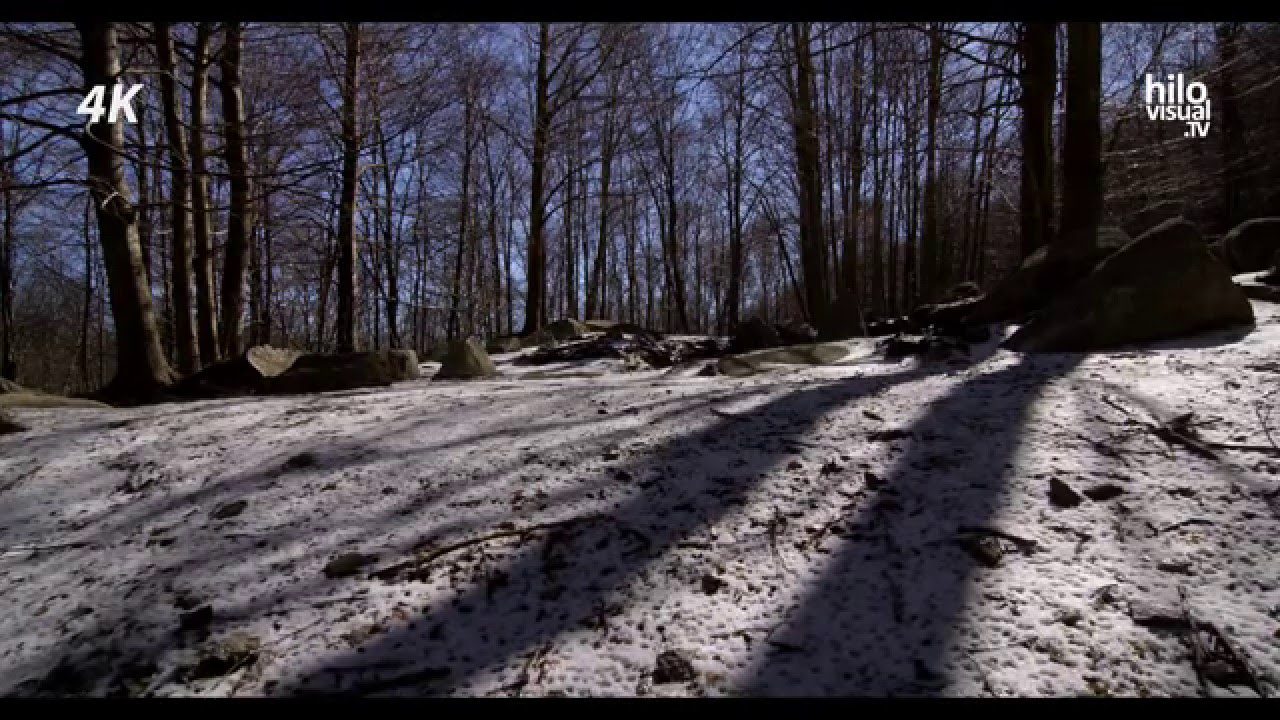 Conoce Montseny