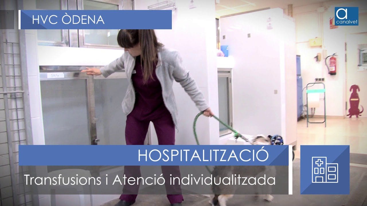 Conoce Òdena