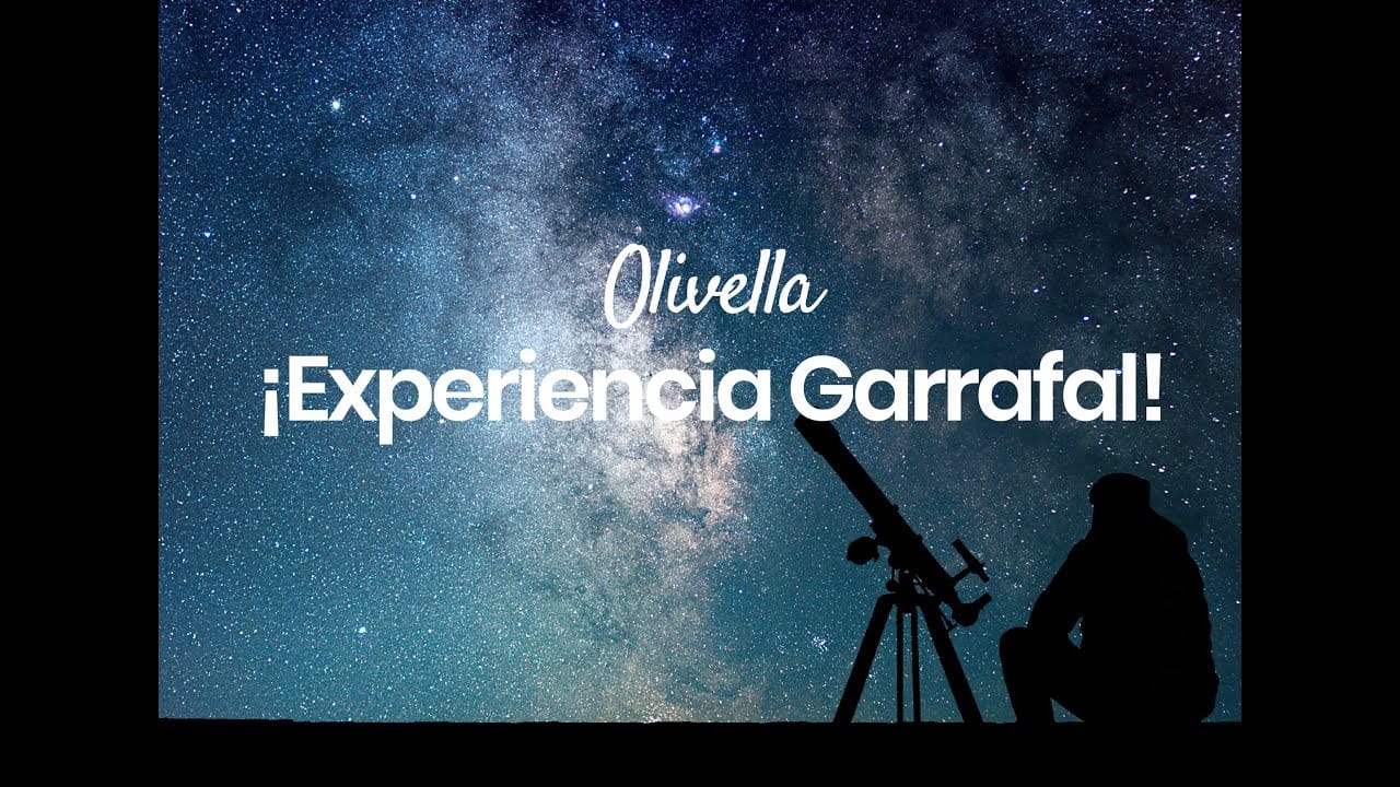 Conoce-Olivella - León Digital Conoce Olivella