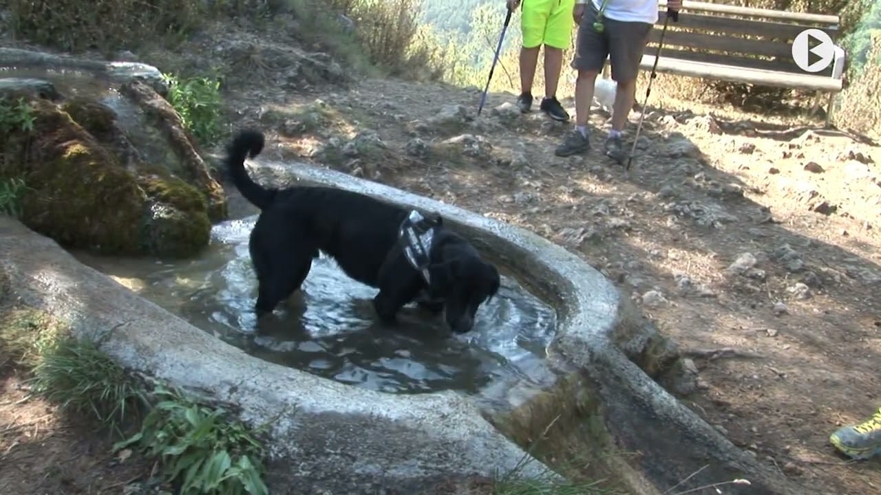 Conoce Sant Julià de Cerdanyola