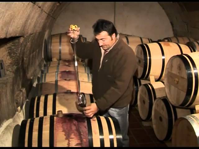 Las-tradiciones-de-las-romerias-en-los-pueblos-de-la-comarca-de-Tierra-del-Vino - León Digital Las tradiciones de las romerías en los pueblos de la comarca de Tierra del Vino